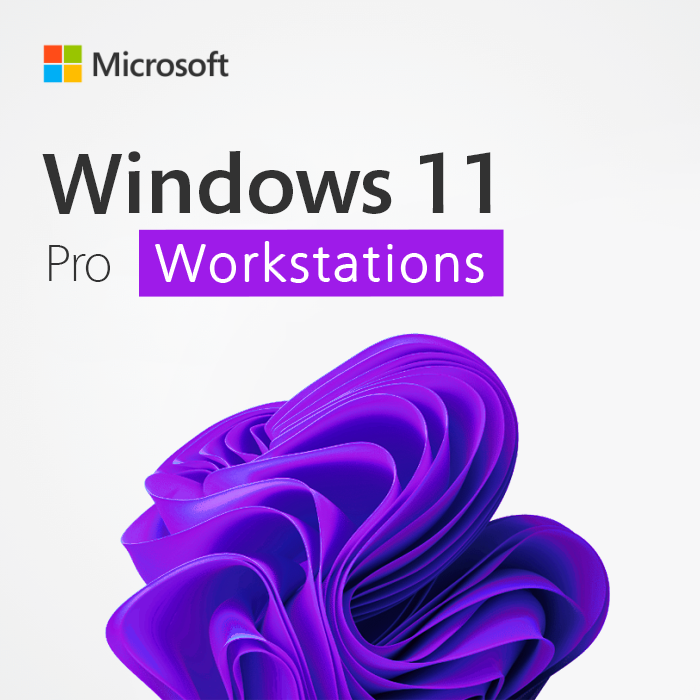 microsoft-windows-11-pro-workstation